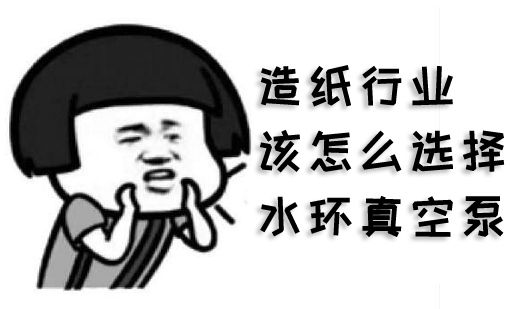 造紙行業該怎麽選擇水環蜜桃永久免费(圖1)